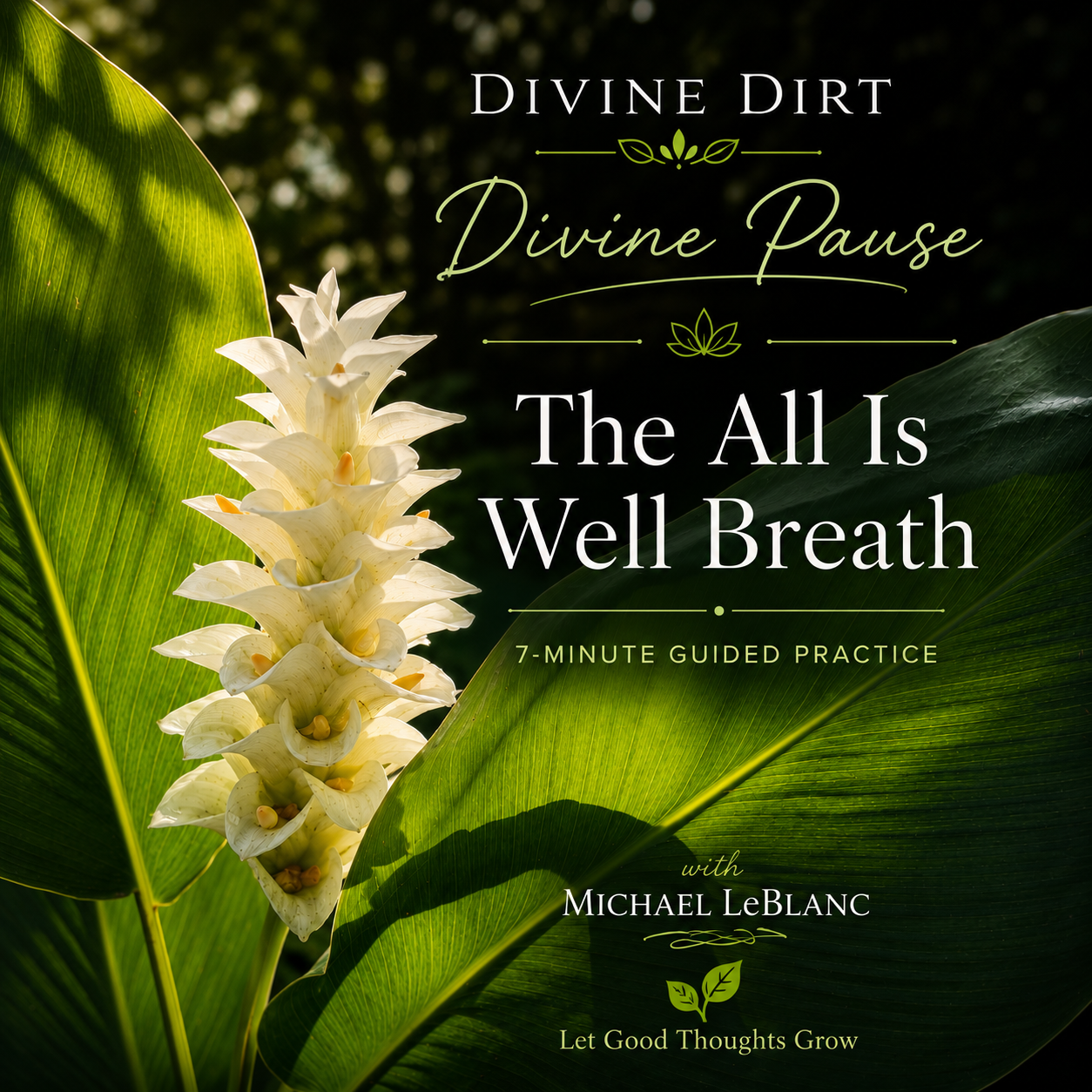 Divine Dirt Pause: The All Is Well Breath — 7-Minute Guided Meditation