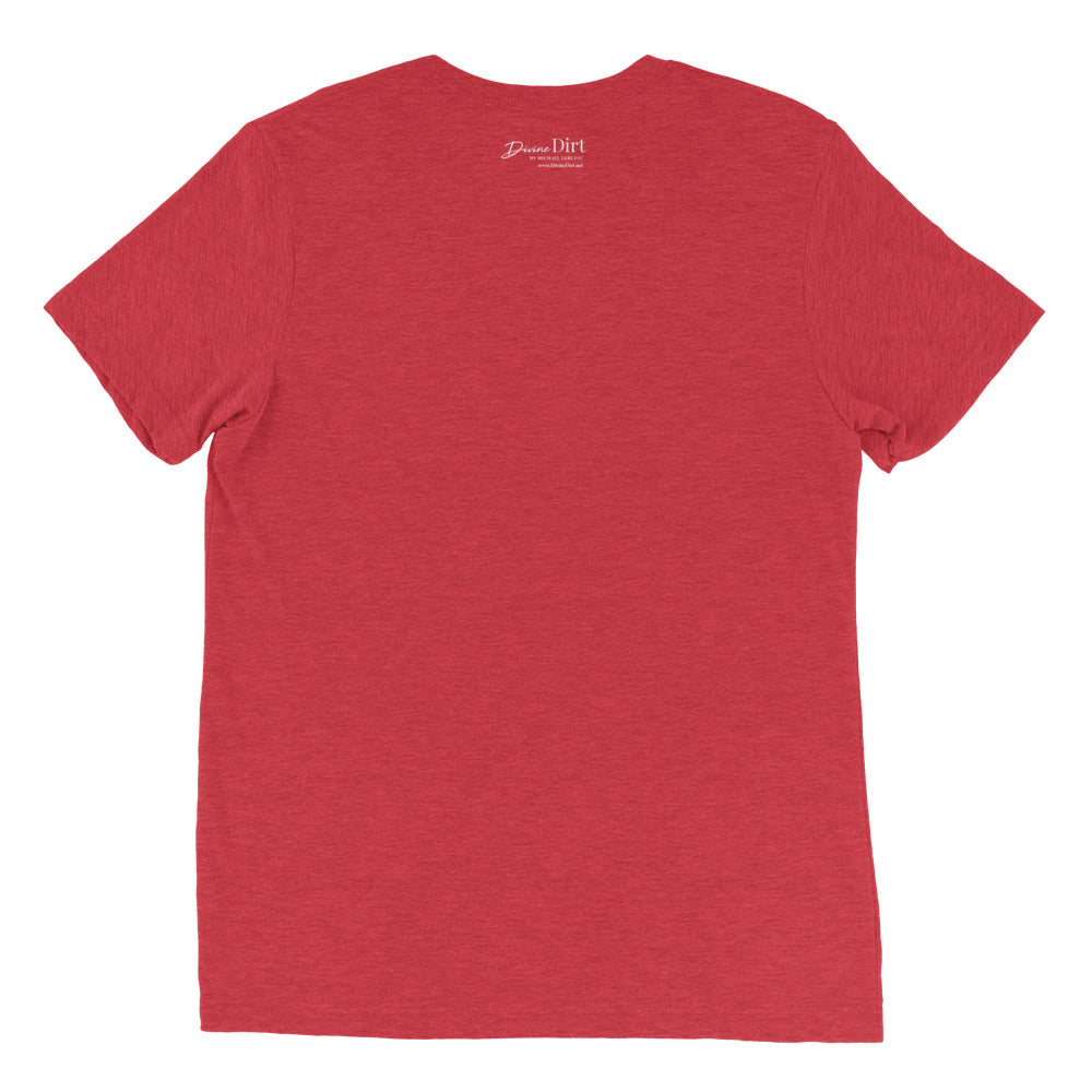 Grow Positive Thoughts-Tri Blend t-shirt