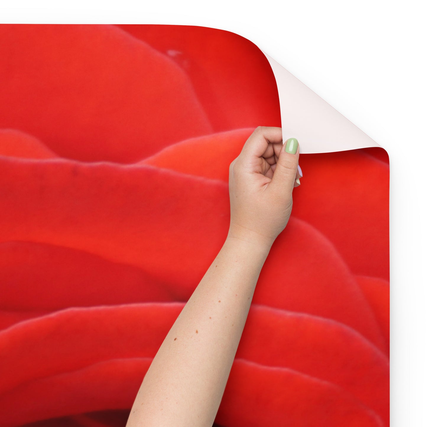Red Rose Wrapping paper sheets