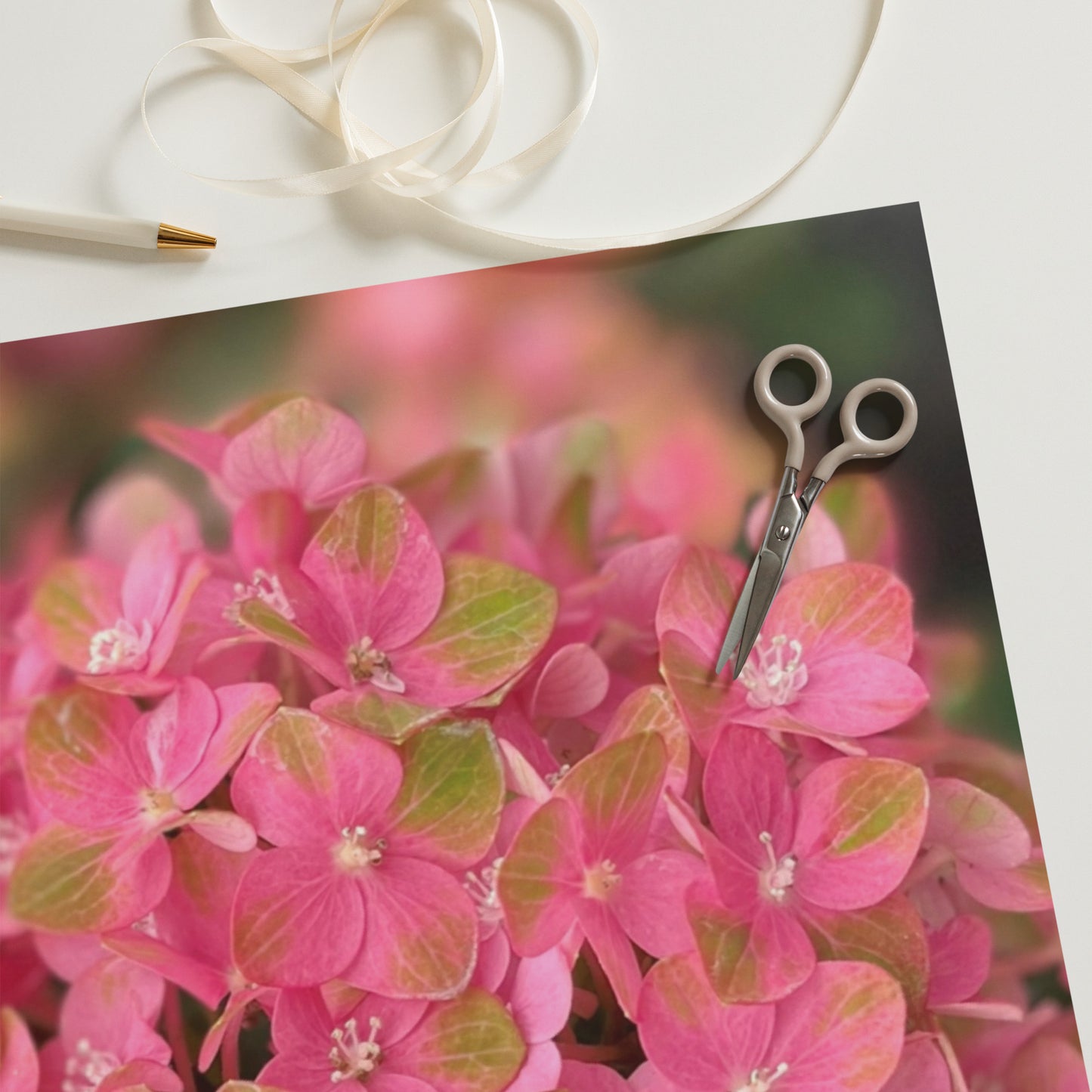 Pink Hydrangea Wrapping paper sheets