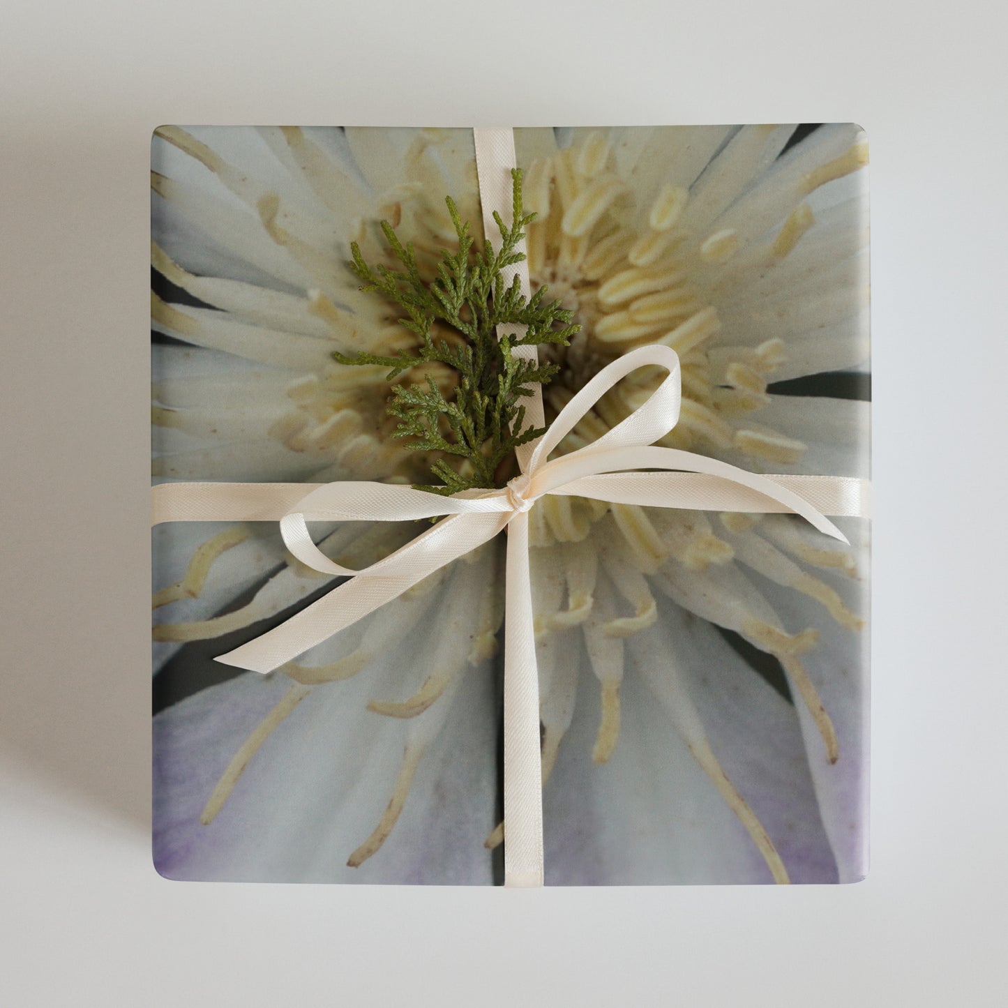 Purple Clematis Wrapping paper sheets