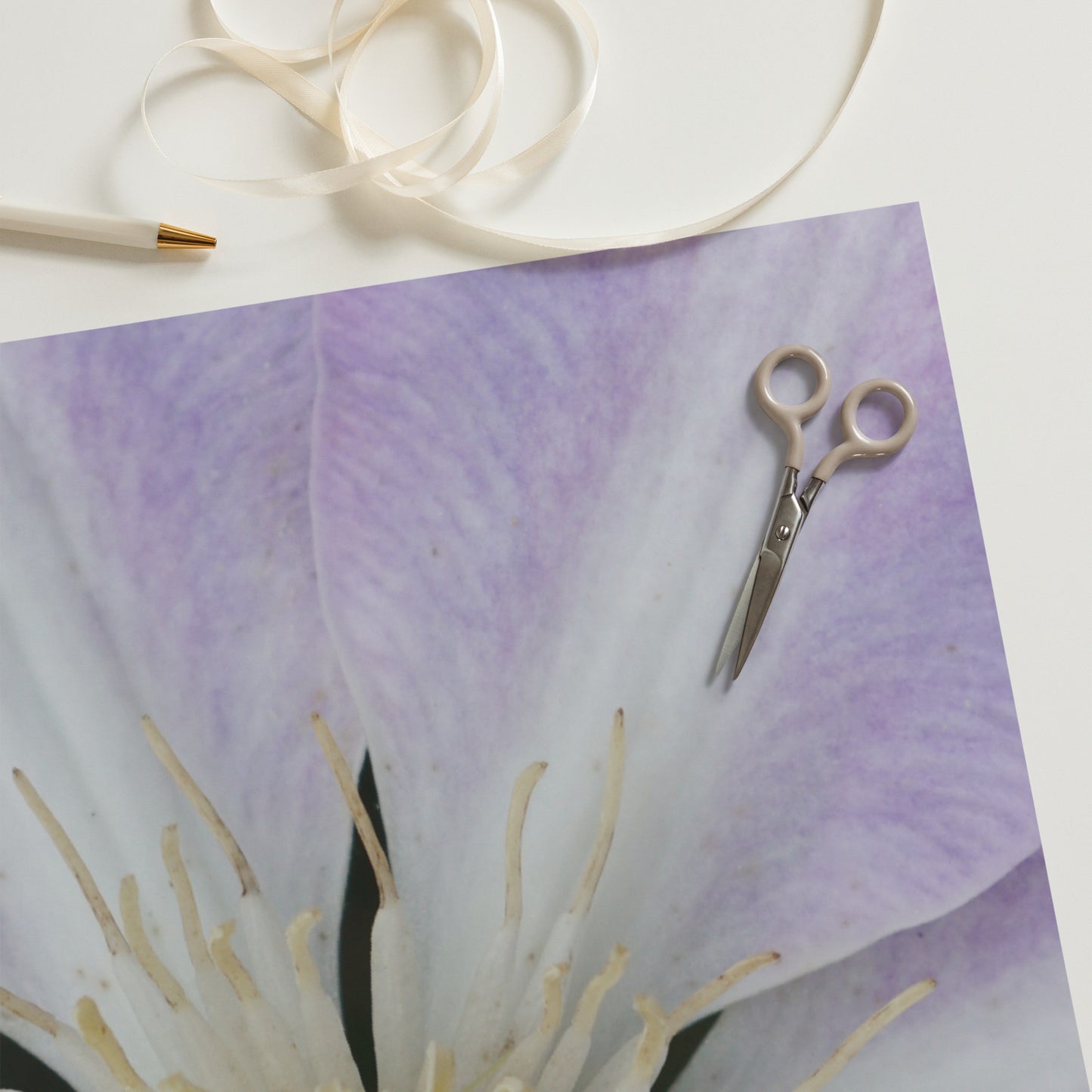 Purple Clematis Wrapping paper sheets