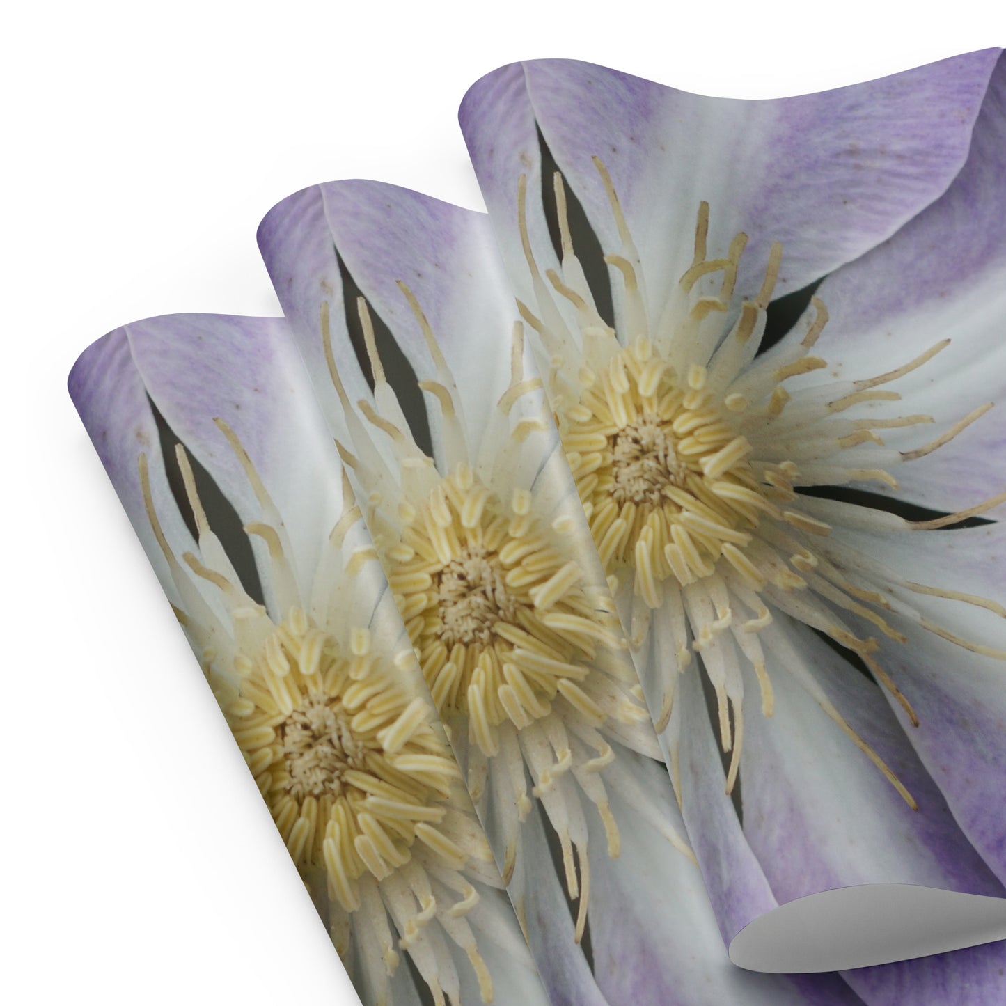 Purple Clematis Wrapping paper sheets