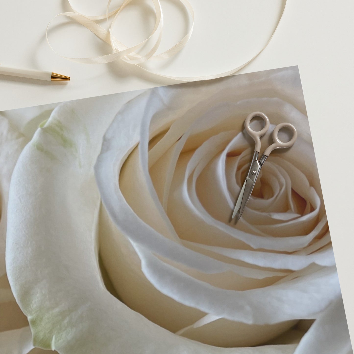White Roses Wrapping paper sheets
