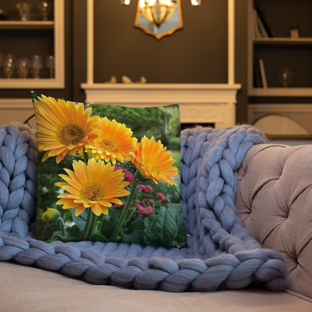 Golden Orange Gerbera Daisies Premium Pillow