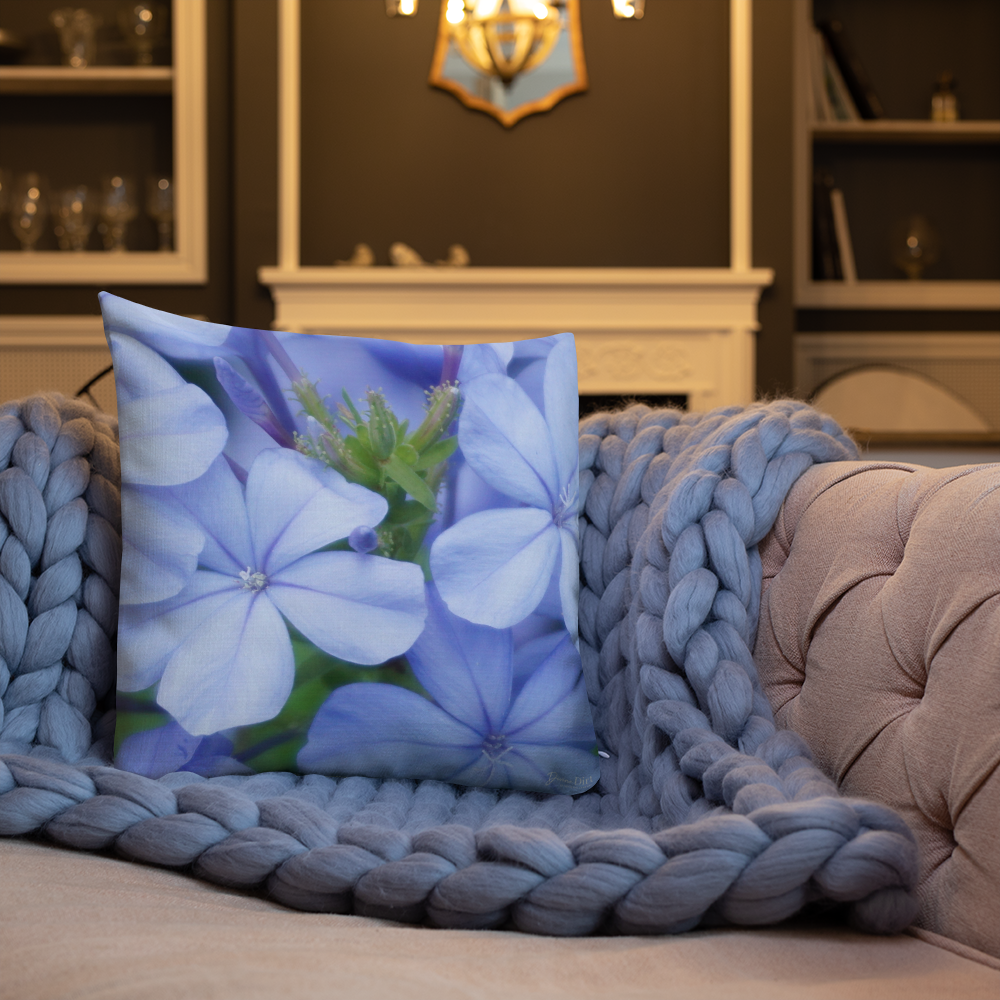 Blue Plumbago Premium Pillow with White Back