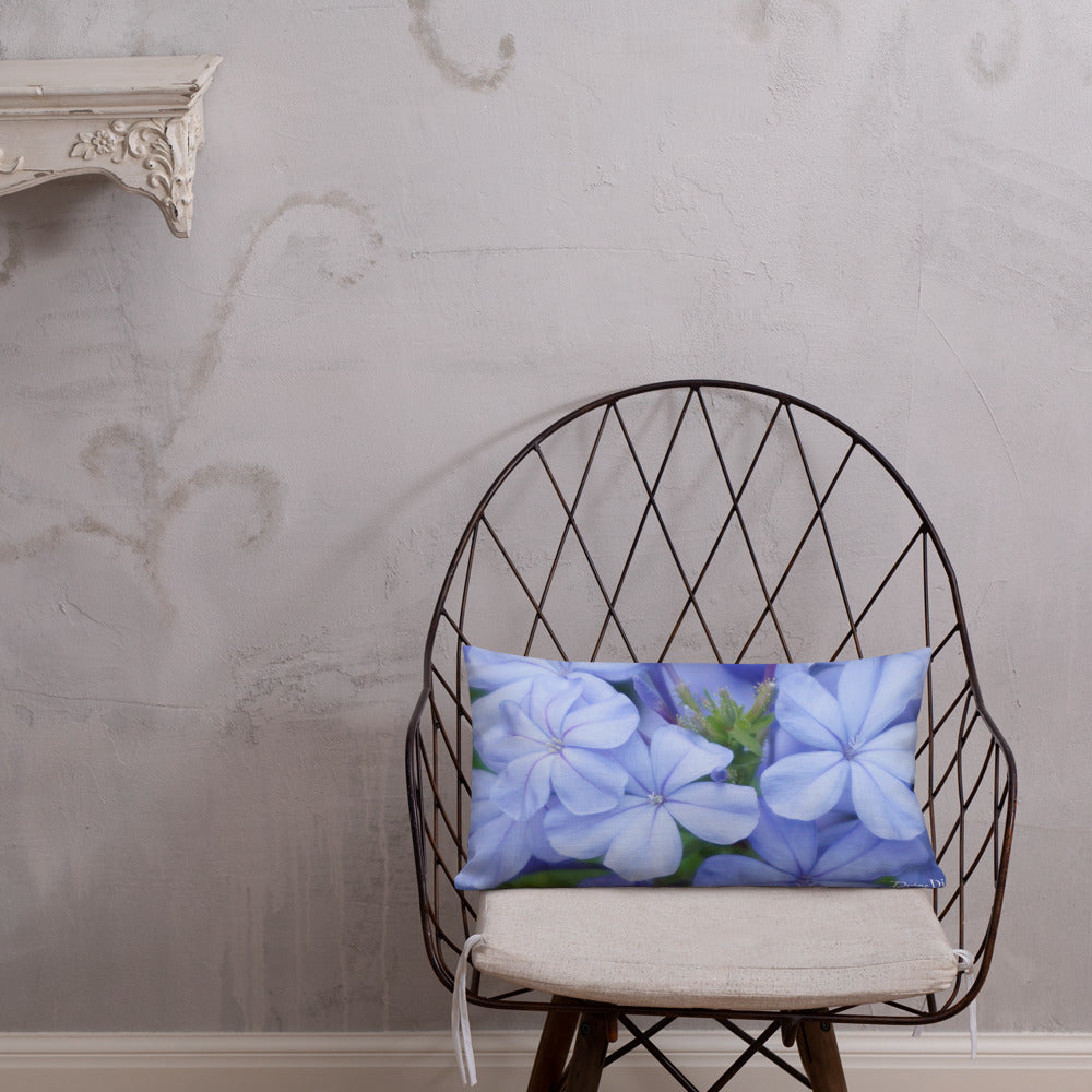 Blue Plumbago Premium Pillow with White Back