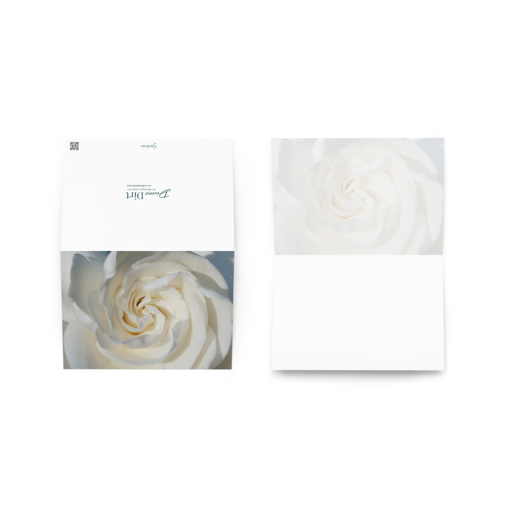 Gardenia