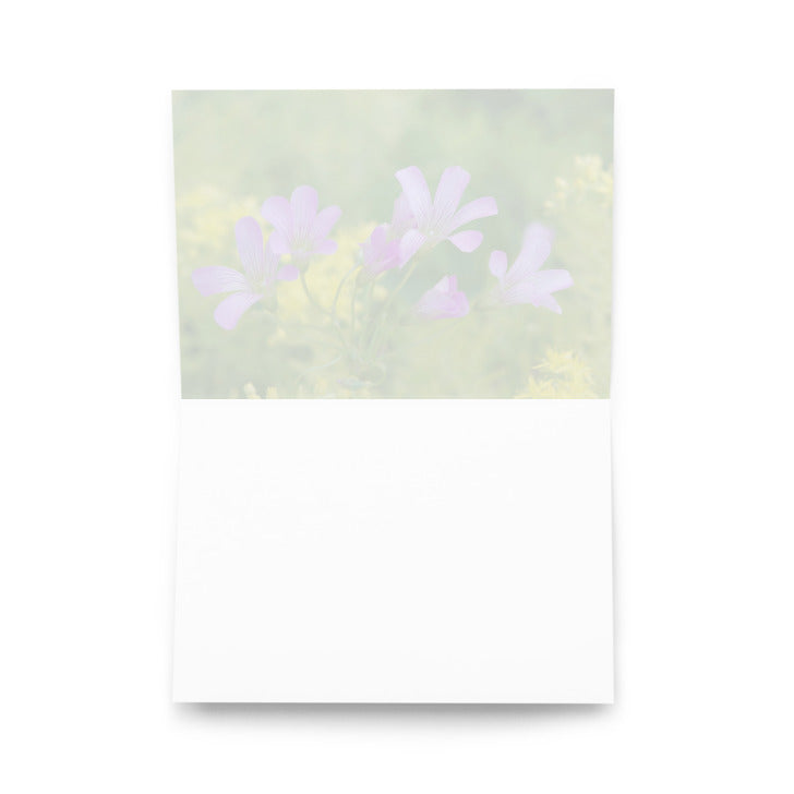 Oxalis Greeting card  'Unplanned Beauty'