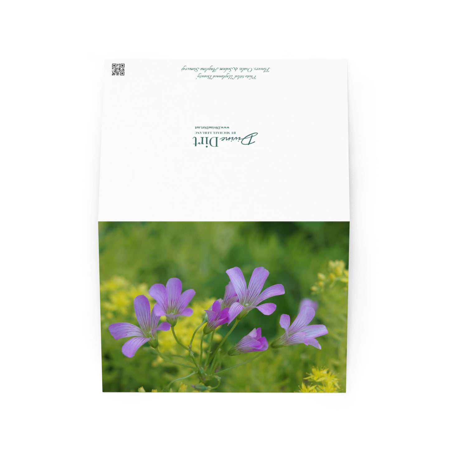 Pink Oxalis Greeting card 'Unplanned Beauty'