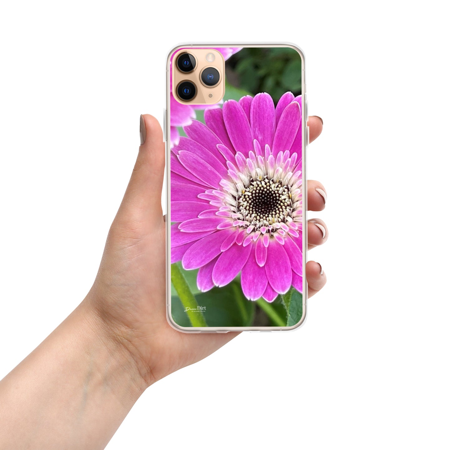 Hot Pink Gerbera Daisy iPhone Case