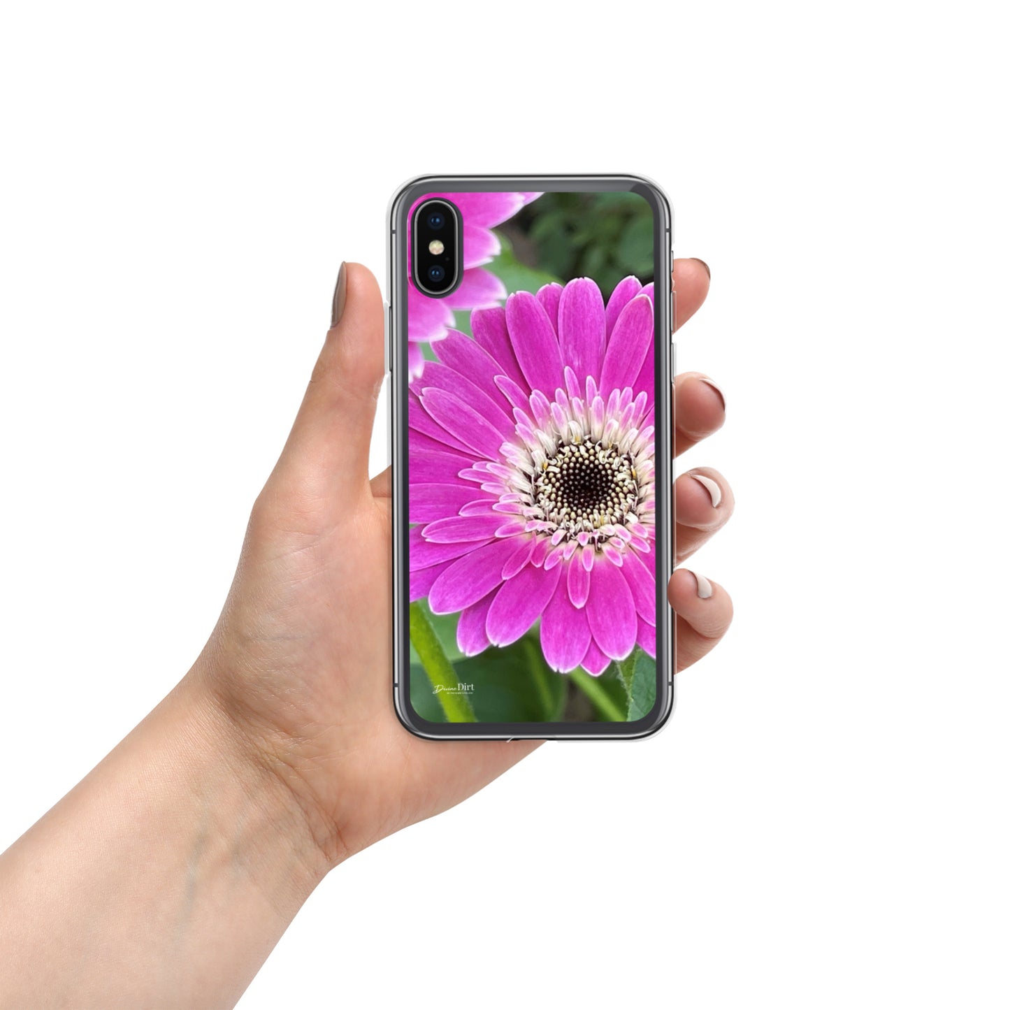 Hot Pink Gerbera Daisy iPhone Case