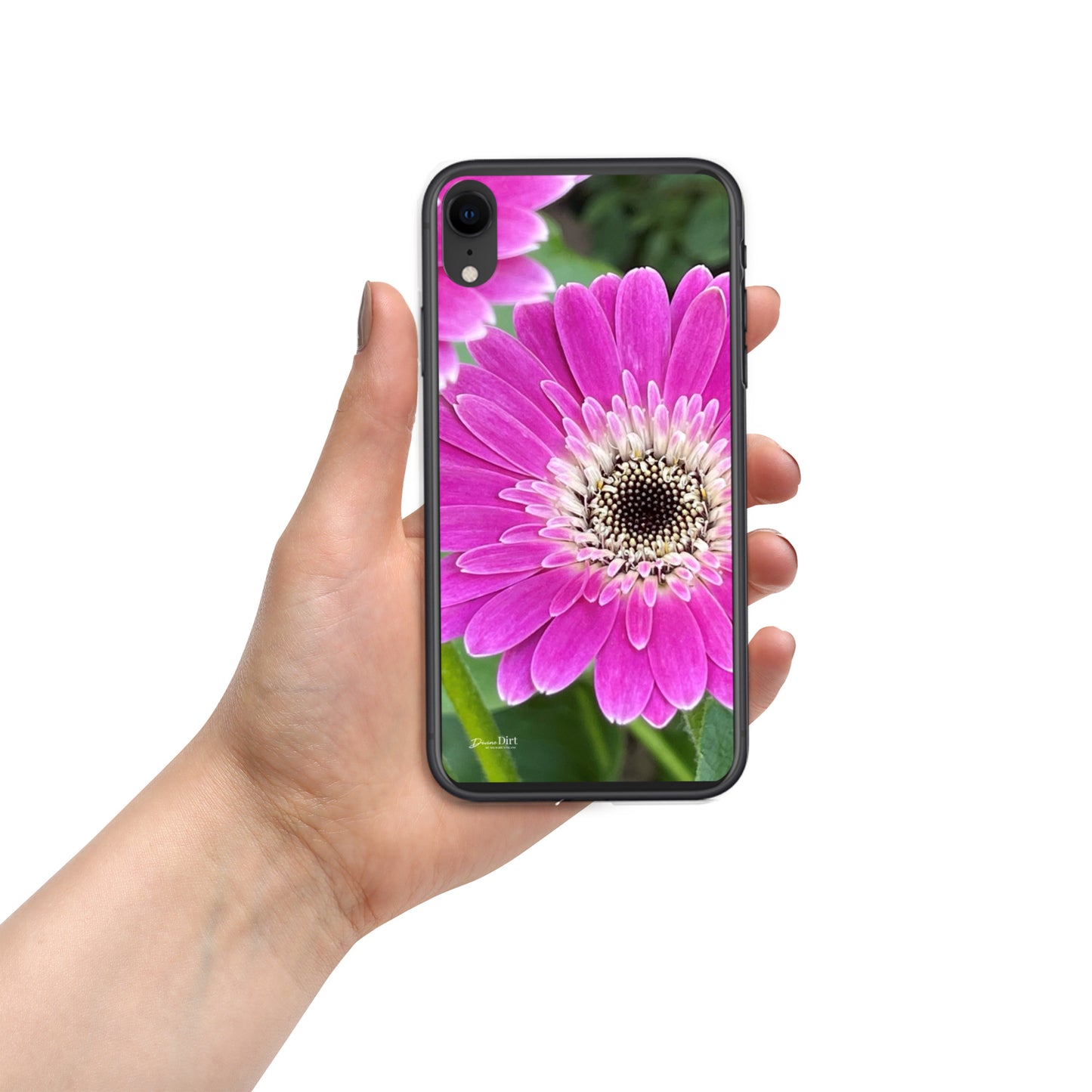 Hot Pink Gerbera Daisy iPhone Case