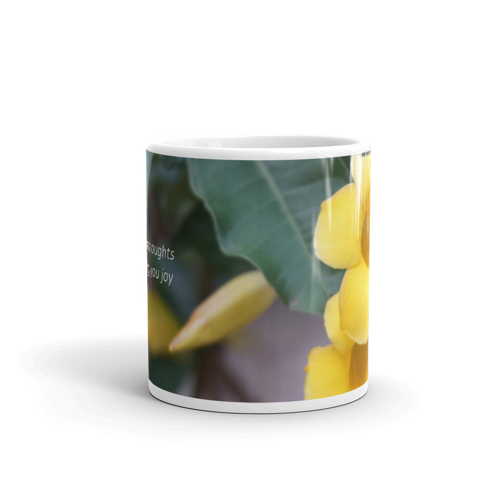 Yellow Allamanda "Focus on thoughts that bring you joy"