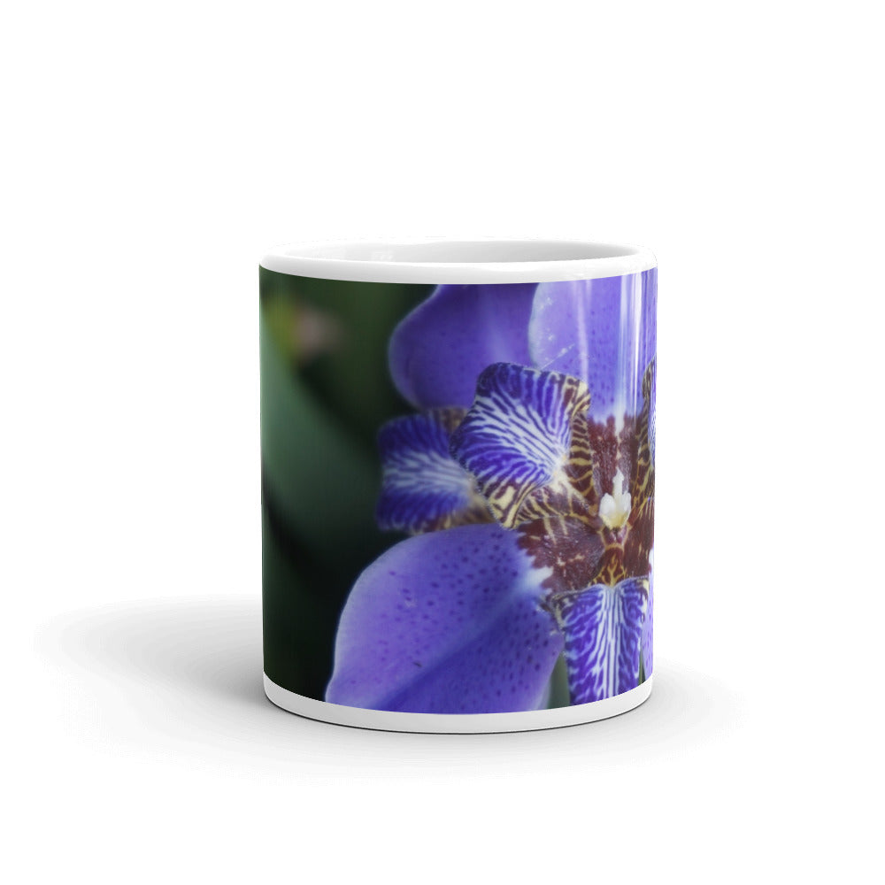 Purple Brazilian Iris "Love"