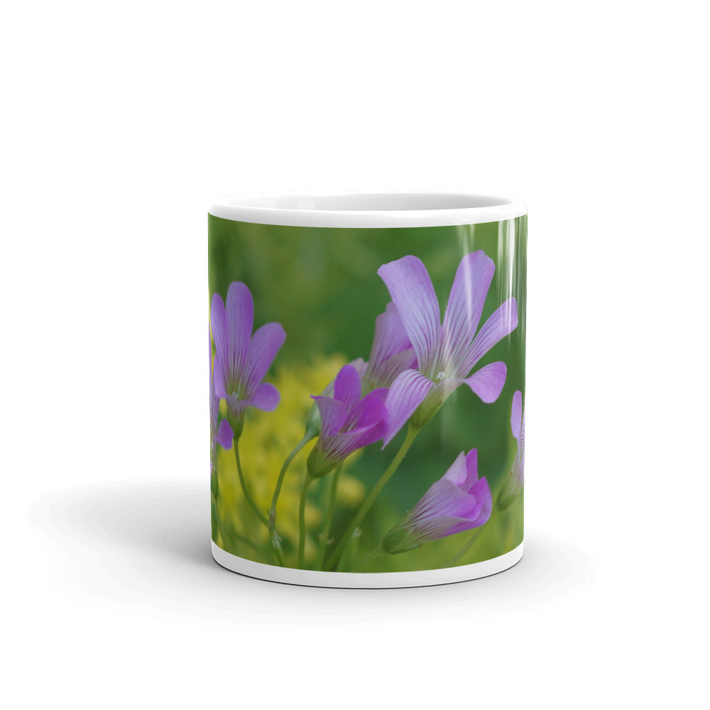 Pink Oxalis_Sedum without a message