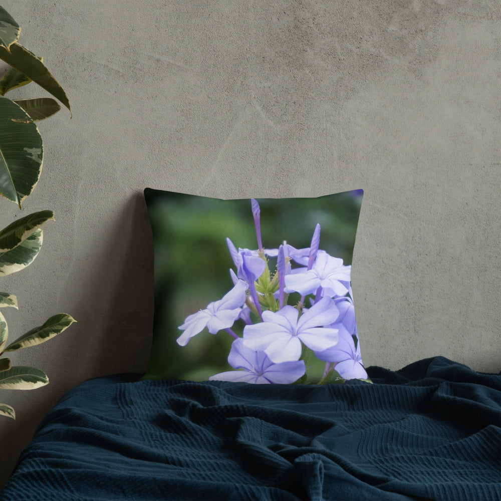 Blue Plumbago Premium Pillow with White Back