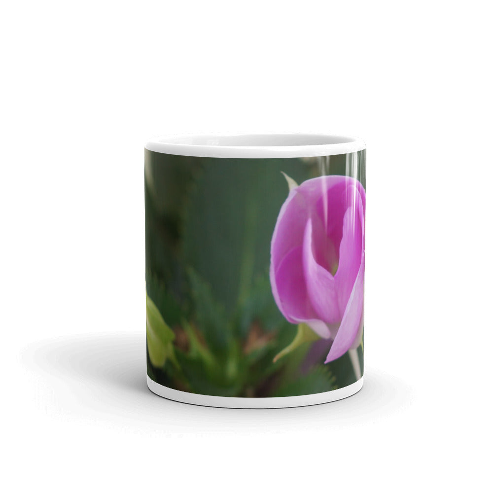 Pink Sun Impatiens without a message