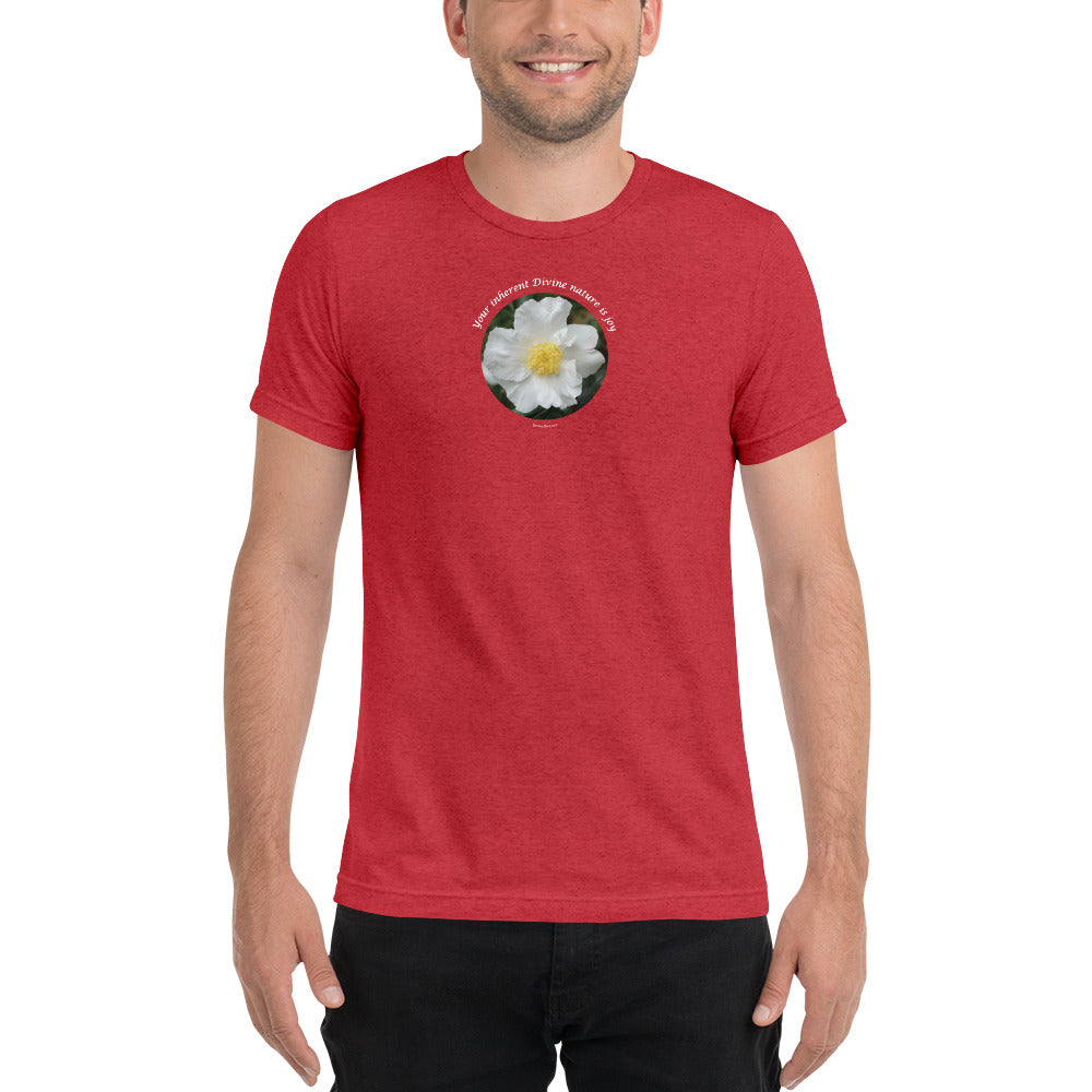 Your inherent Divine nature is joy_Unisex Tri-Blend Short sleeve T-Shirt | Bella + Canvas 3413