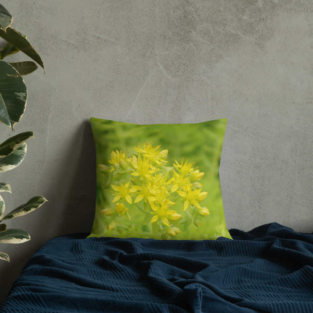 Lime Green Sedum with White Back Premium Pillow