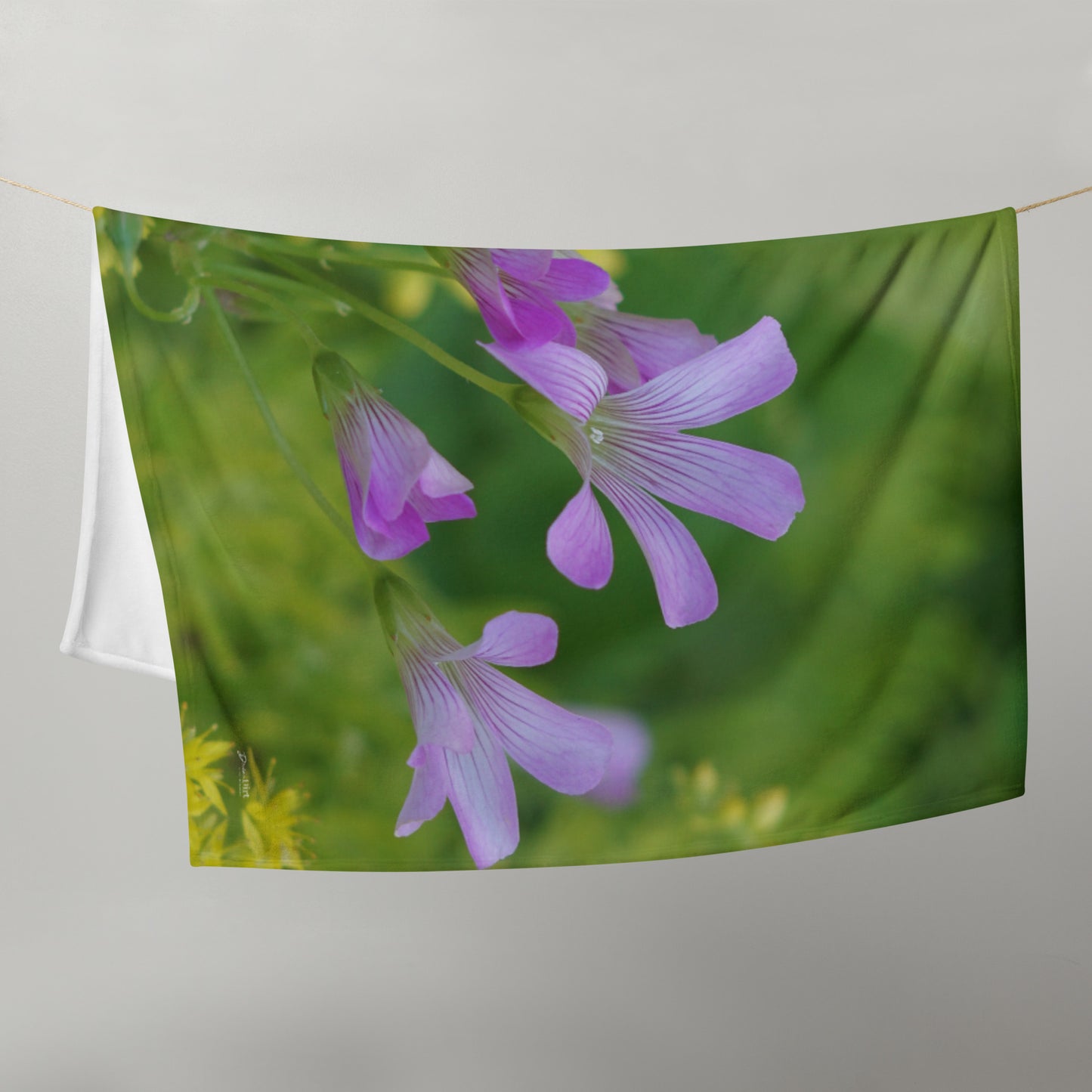 Pink Oxalis Throw Blanket. 'Unplanned Beauty'