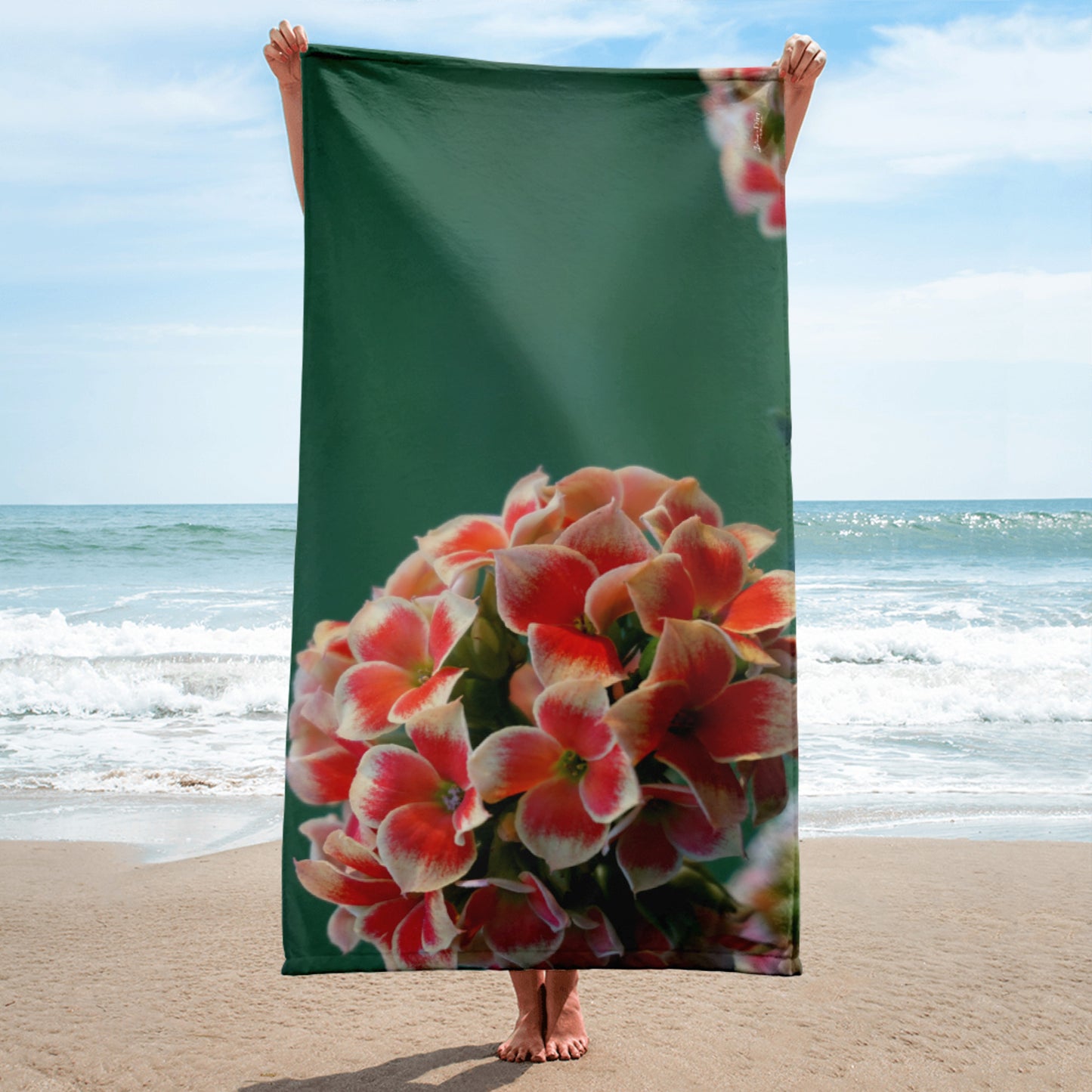 Kalanchoe 'You are Whole, Complete and Limitless'