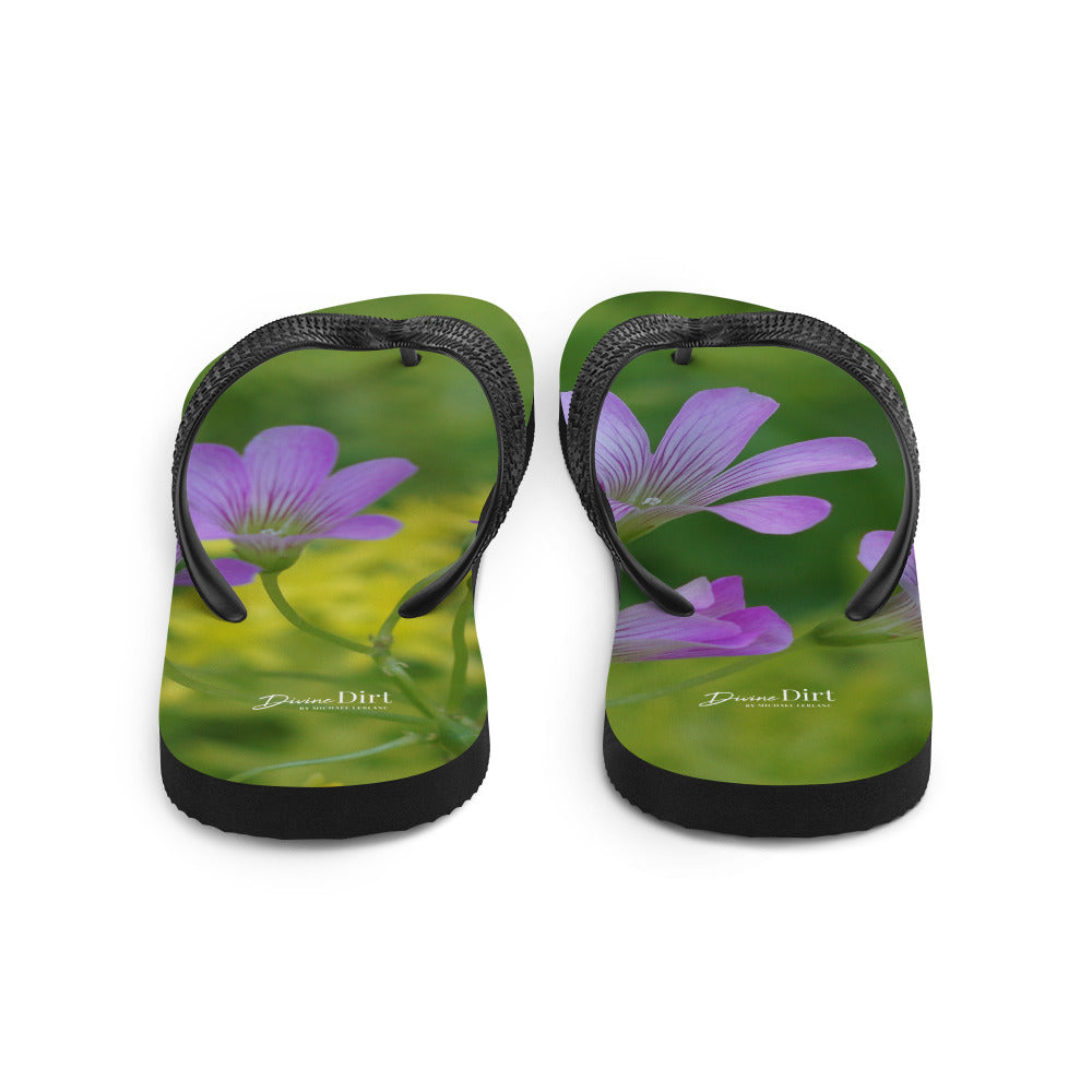 'Unplanned Beauty'. Oxalis & Sedum Flip-Flops