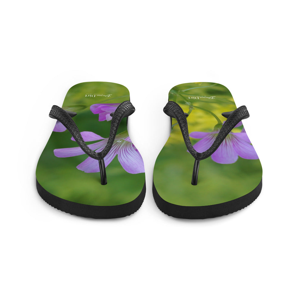 'Unplanned Beauty'. Oxalis & Sedum Flip-Flops