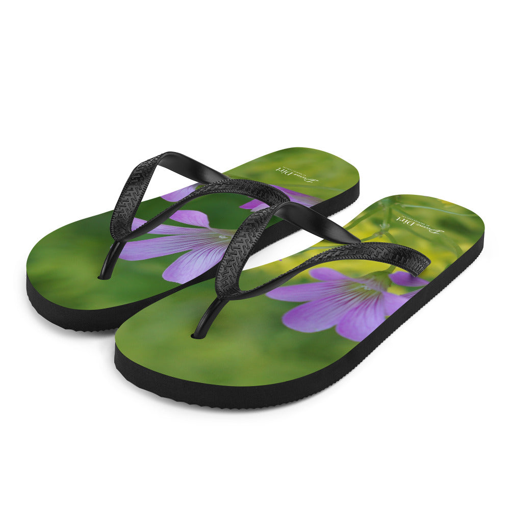 'Unplanned Beauty'. Oxalis & Sedum Flip-Flops