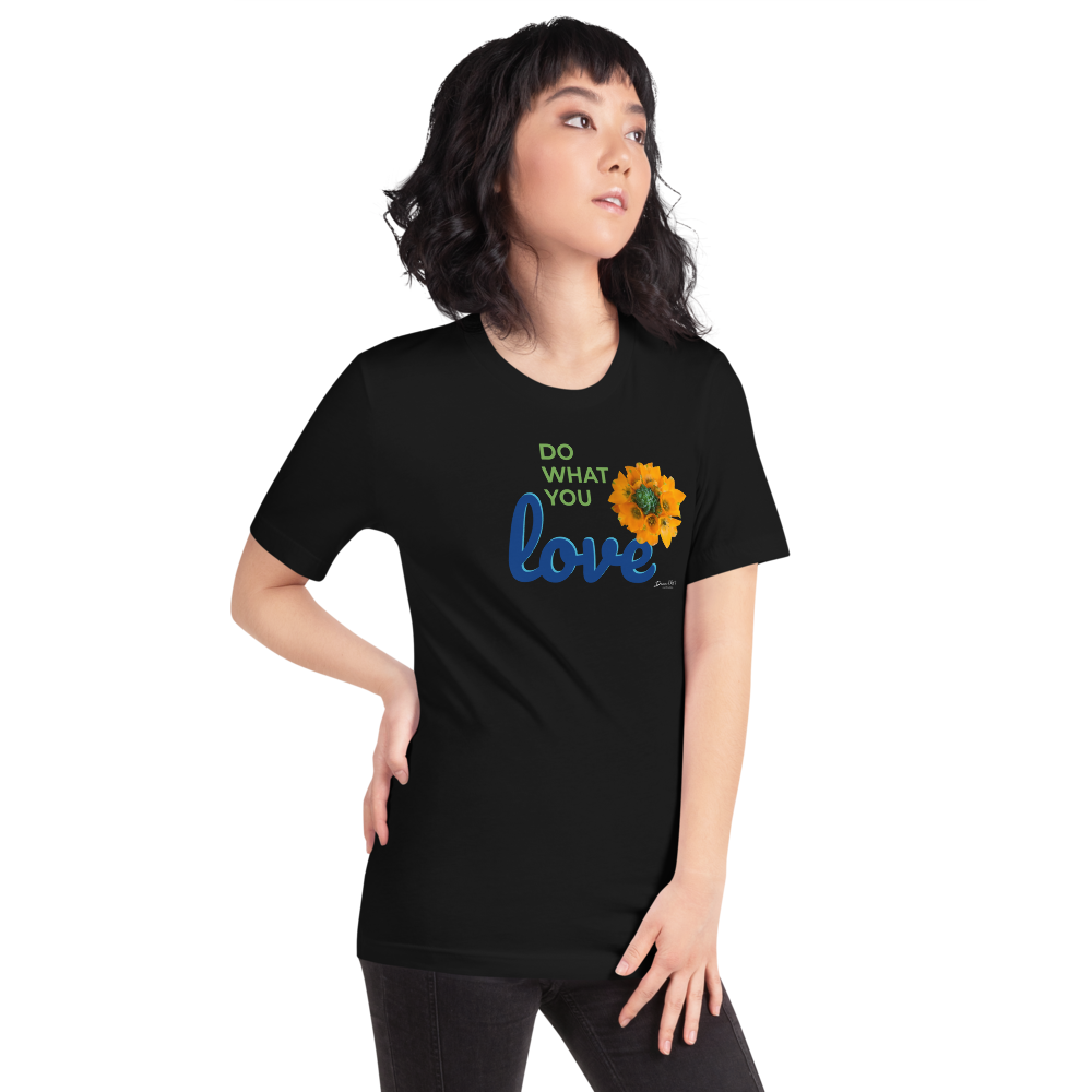Do What You Love_Orange Star_darker colors