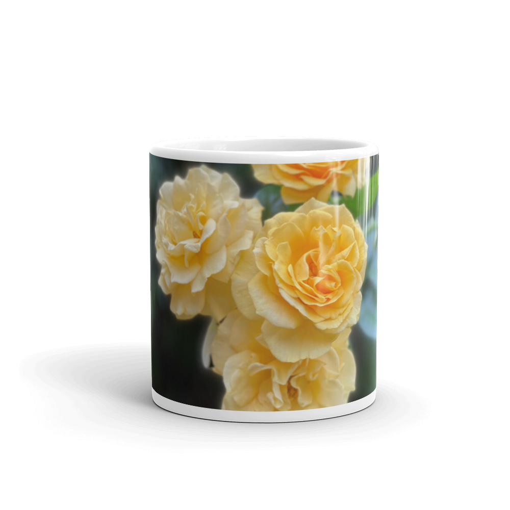 Yellow Roses 'Believe in Your Dreams'