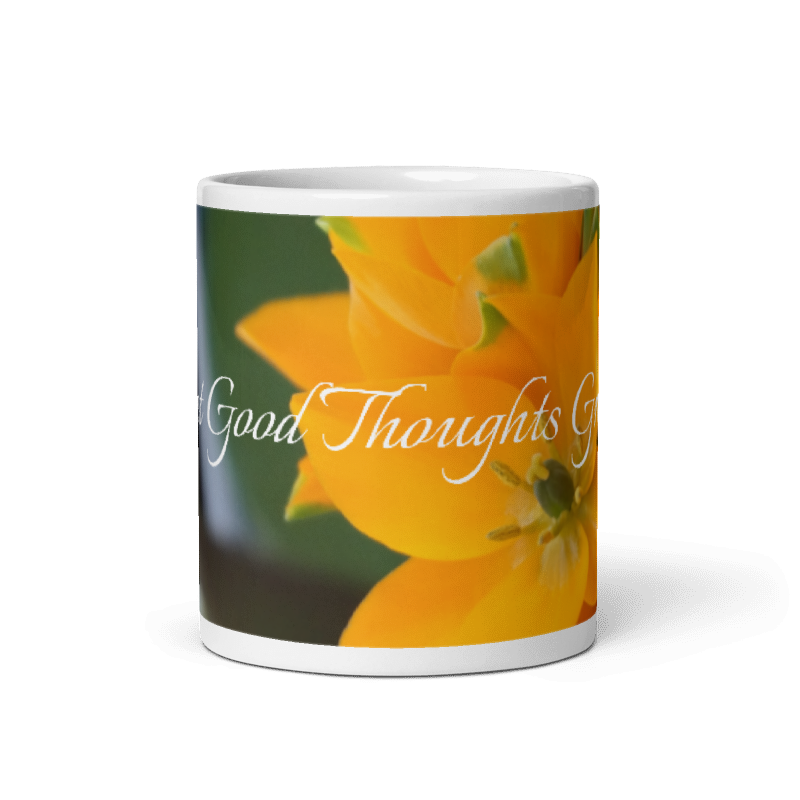 Orange Star_Let Good Thoughts Grwo