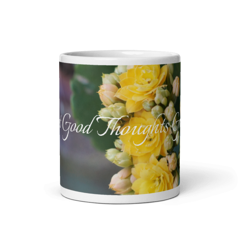 Kalanchoe_Let Good Thoughts Grow