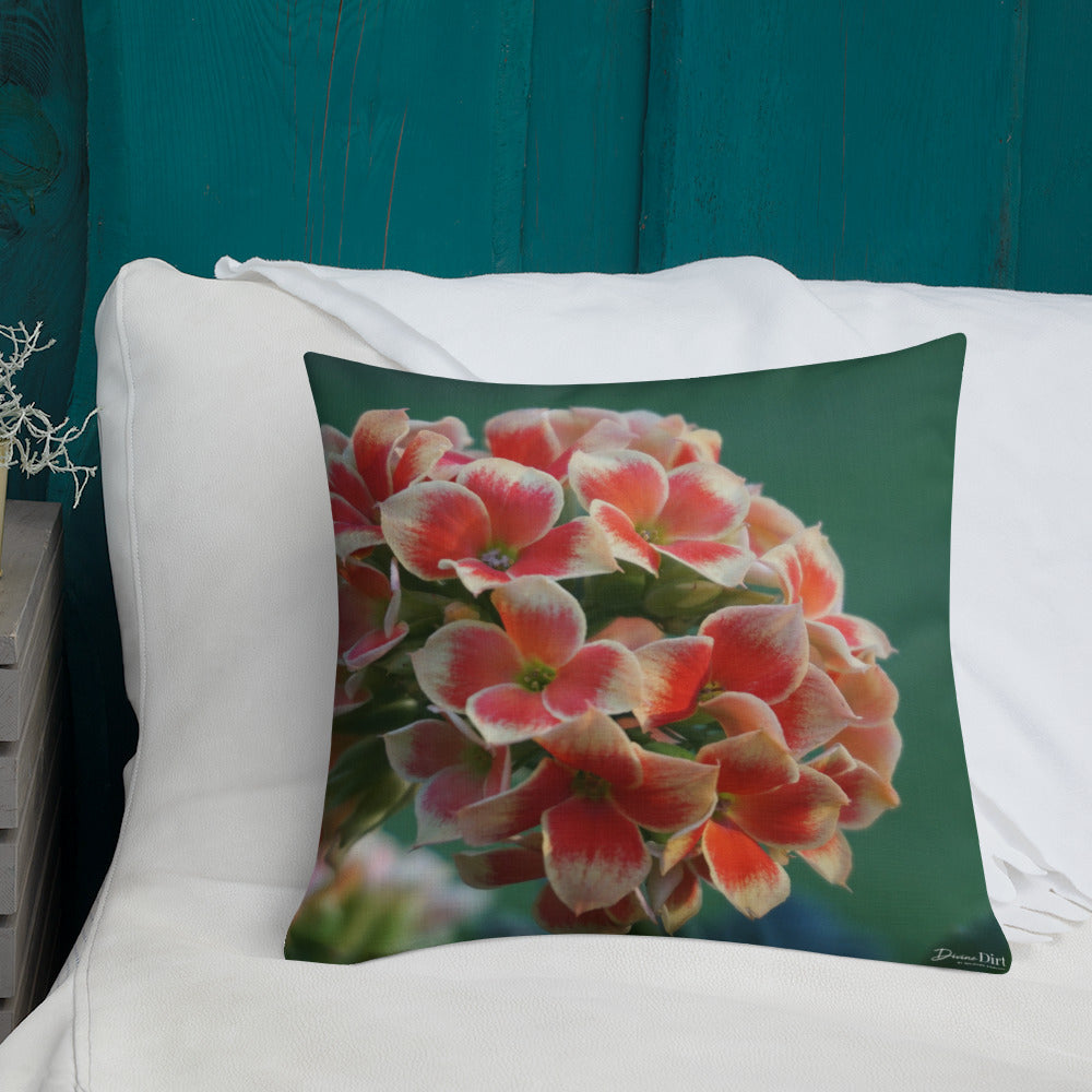 Orange Kalanchoe Premium Pillow with White Back