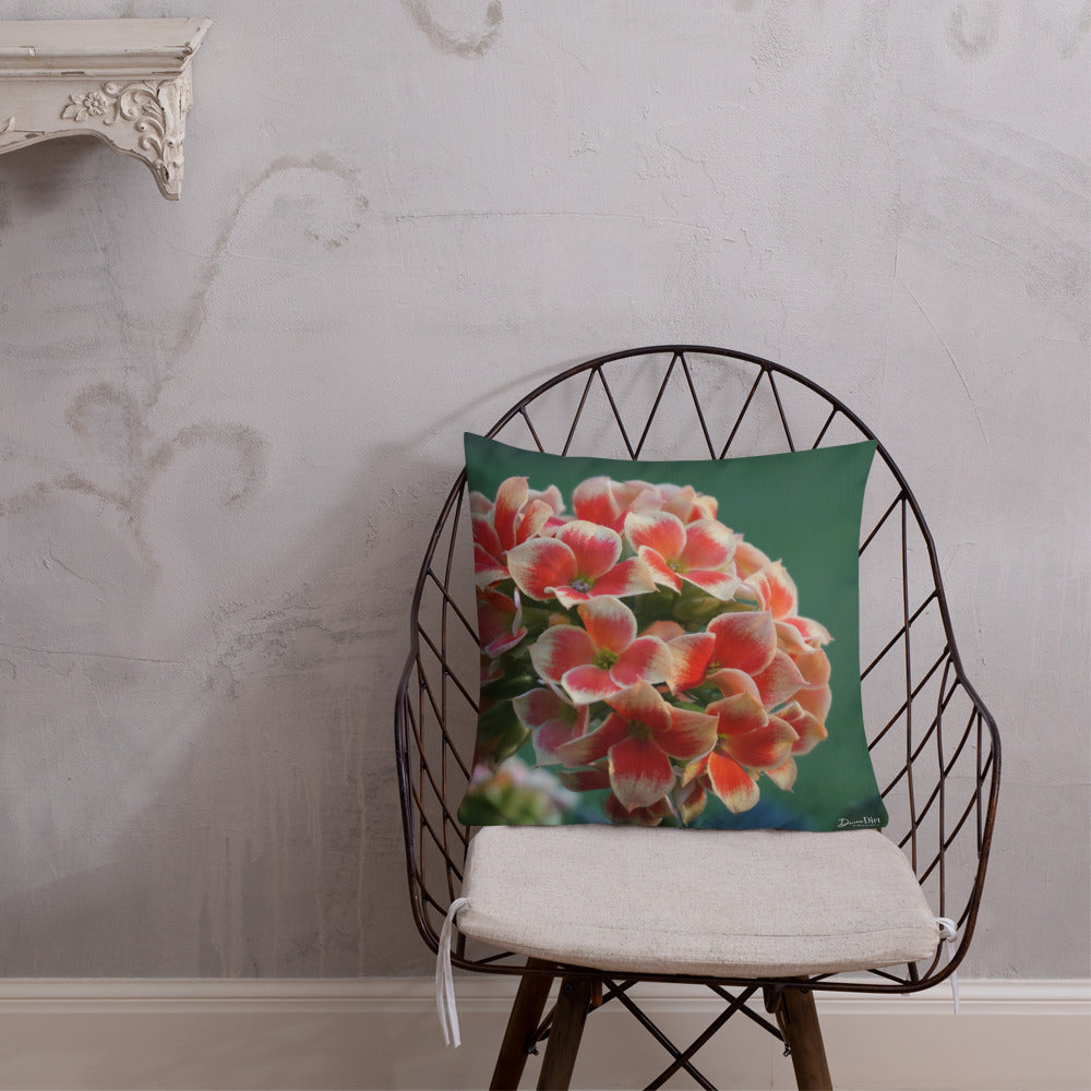 Orange Kalanchoe Premium Pillow with White Back