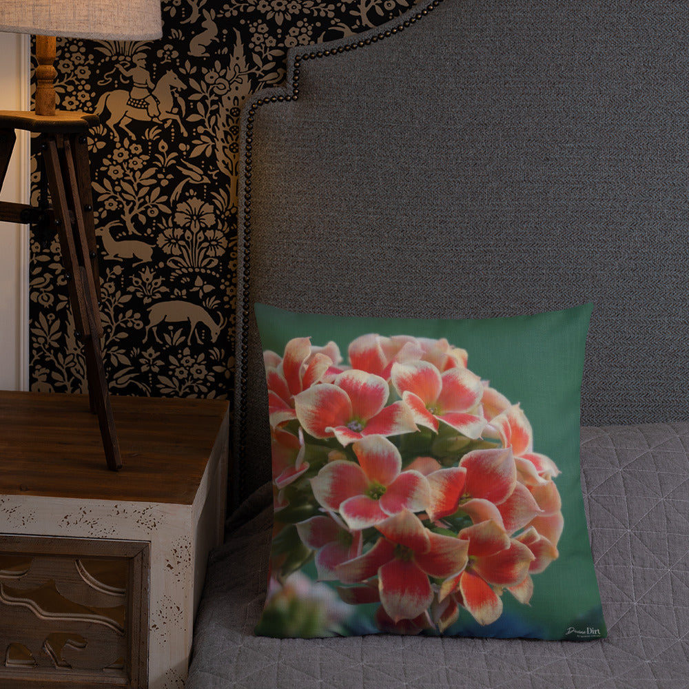 Orange Kalanchoe Premium Pillow with White Back