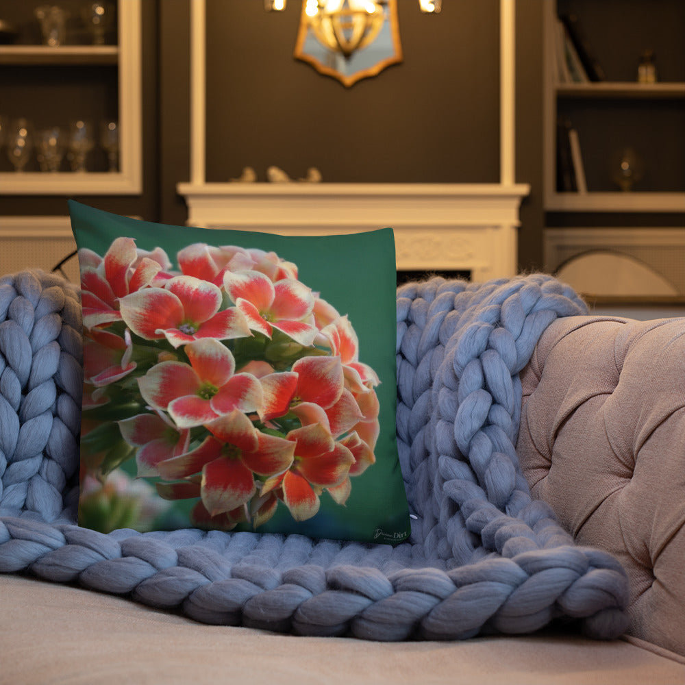 Orange Kalanchoe Premium Pillow with White Back