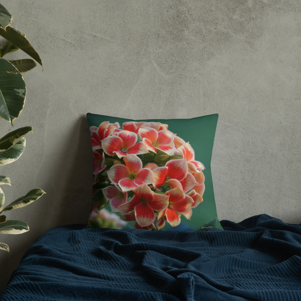 Orange Kalanchoe Premium Pillow with White Back