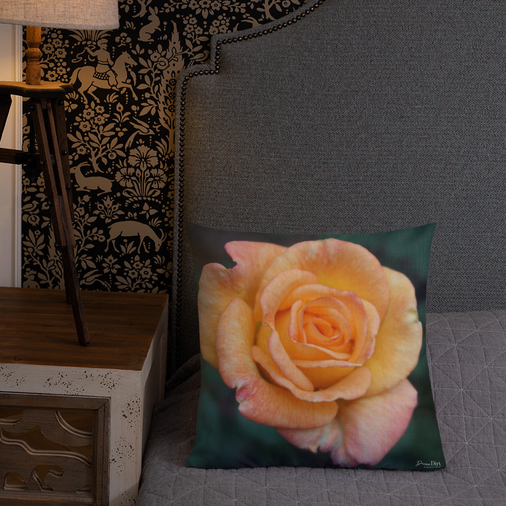 Orange Delight Rose Premium Pillow with White Back