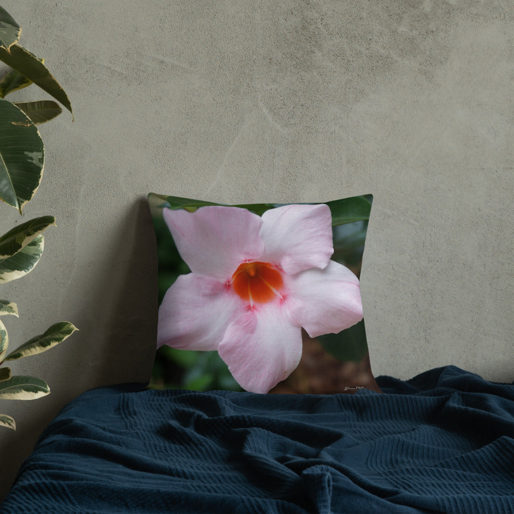 Pink Mandevilla Premium Pillow with White Back