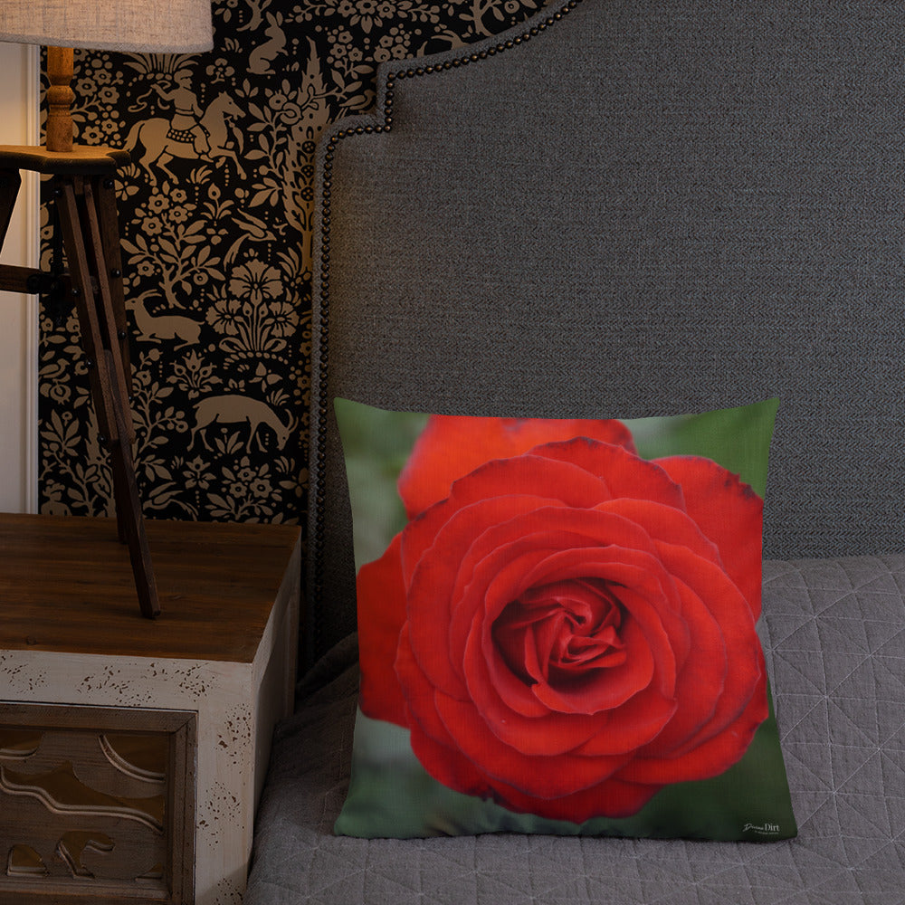 Red Rose Premium Pillow with White Back