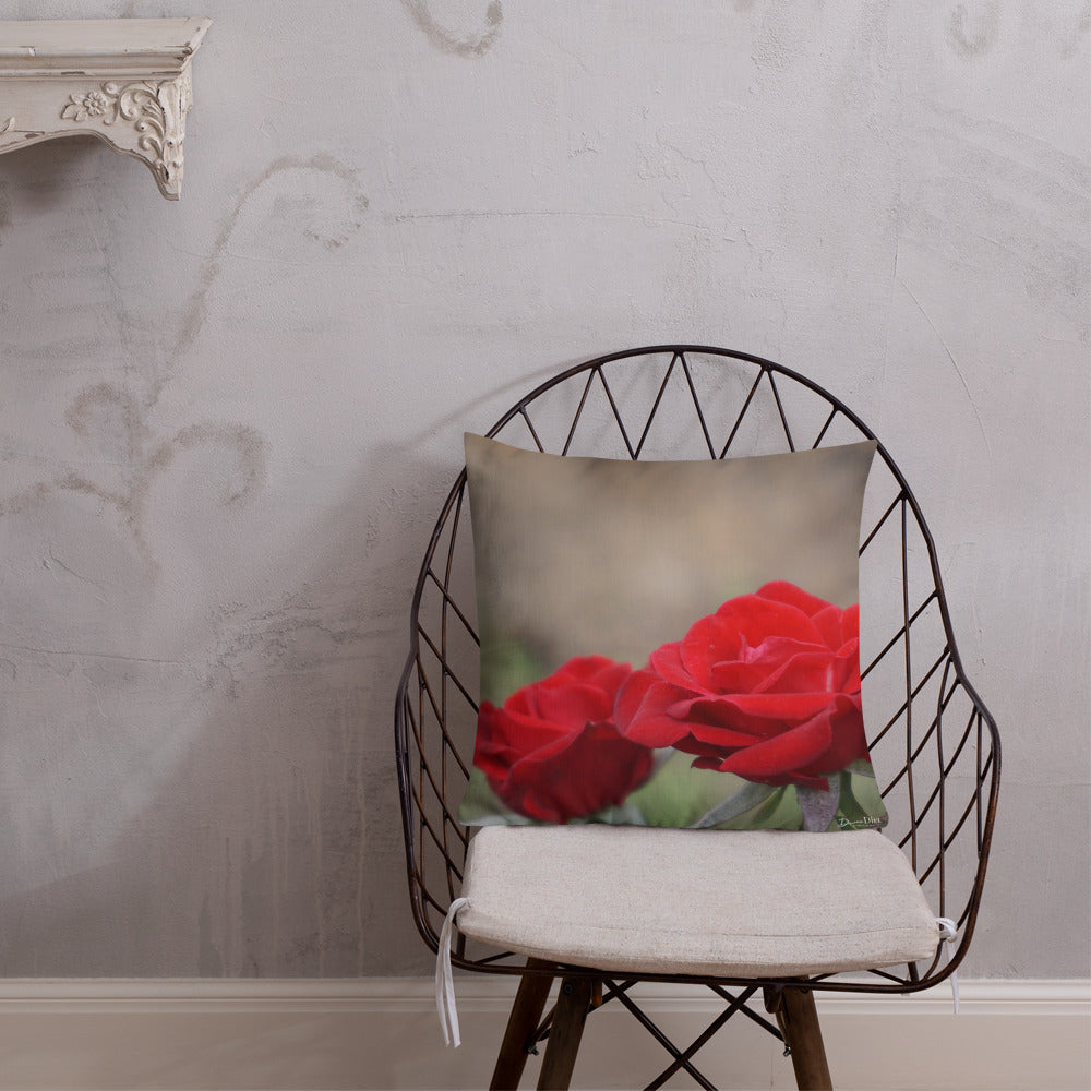 Red Rose Premium Pillow with White Back