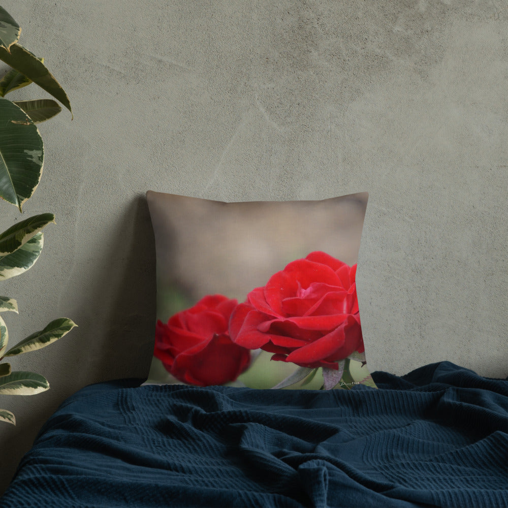 Red Rose Premium Pillow with White Back
