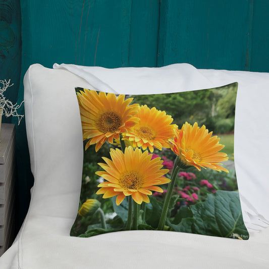 Golden Orange Gerbera Daisies Premium Pillow