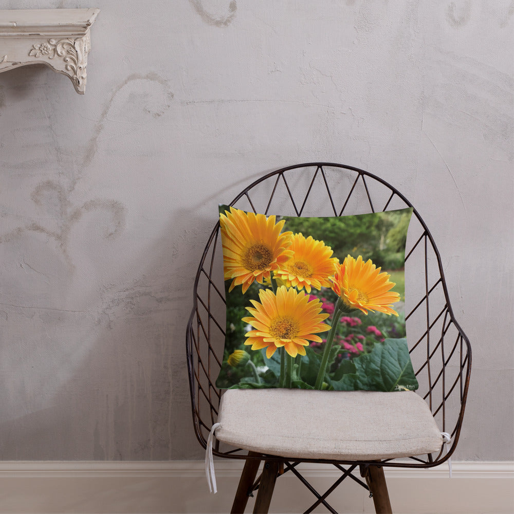 Golden Orange Gerbera Daisies Premium Pillow