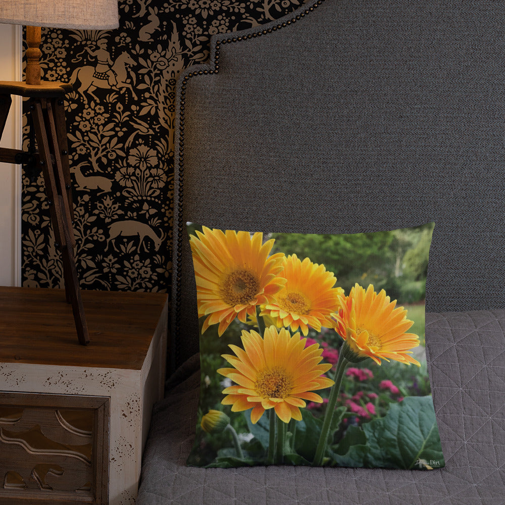 Golden Orange Gerbera Daisies Premium Pillow