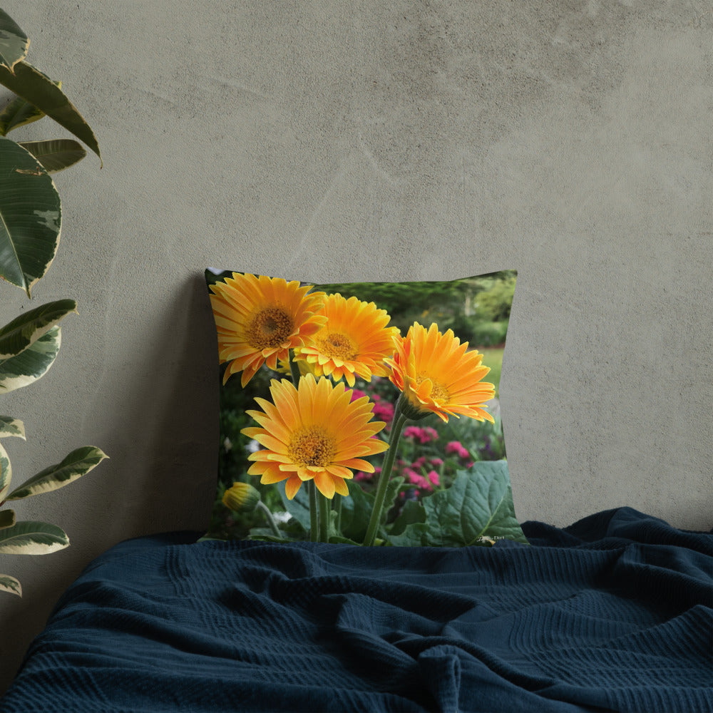 Golden Orange Gerbera Daisies Premium Pillow