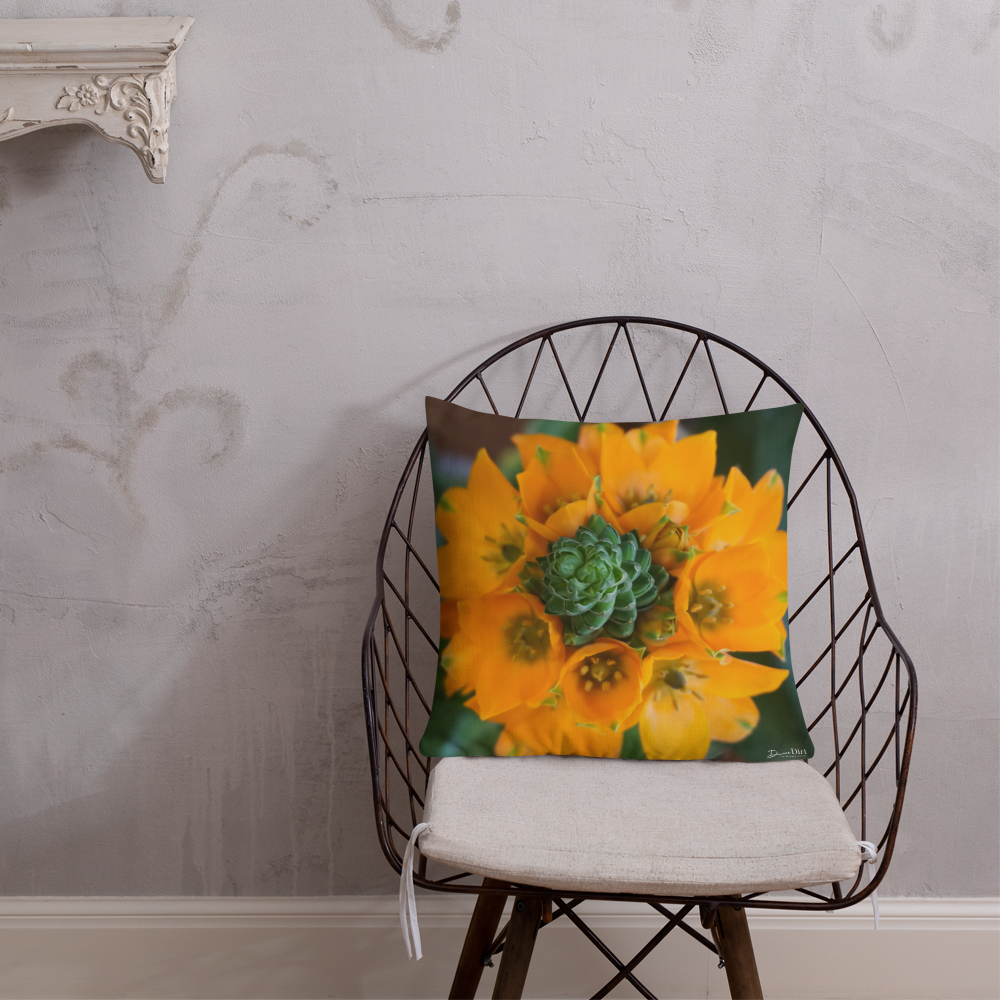 Orange Star Premium Pillow with Orange back