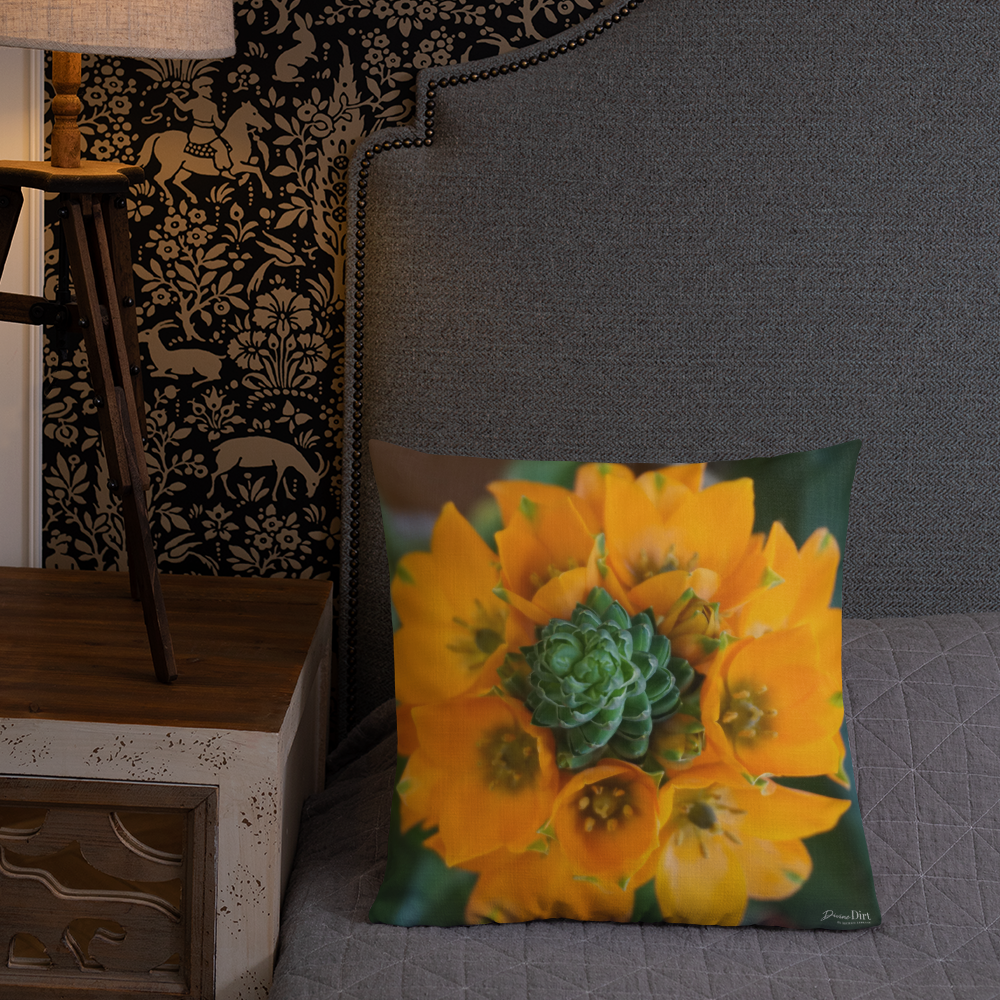 Orange Star Premium Pillow with Orange back