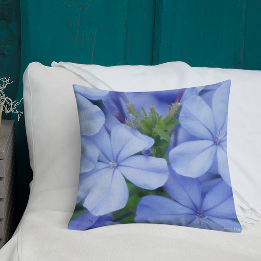 Blue Plumbago Premium Pillow with White Back
